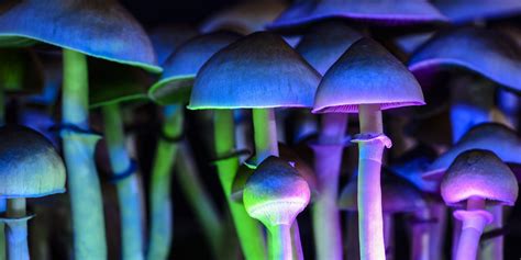 The Fascinating History of Magic Mushrooms in Crystal Gardens